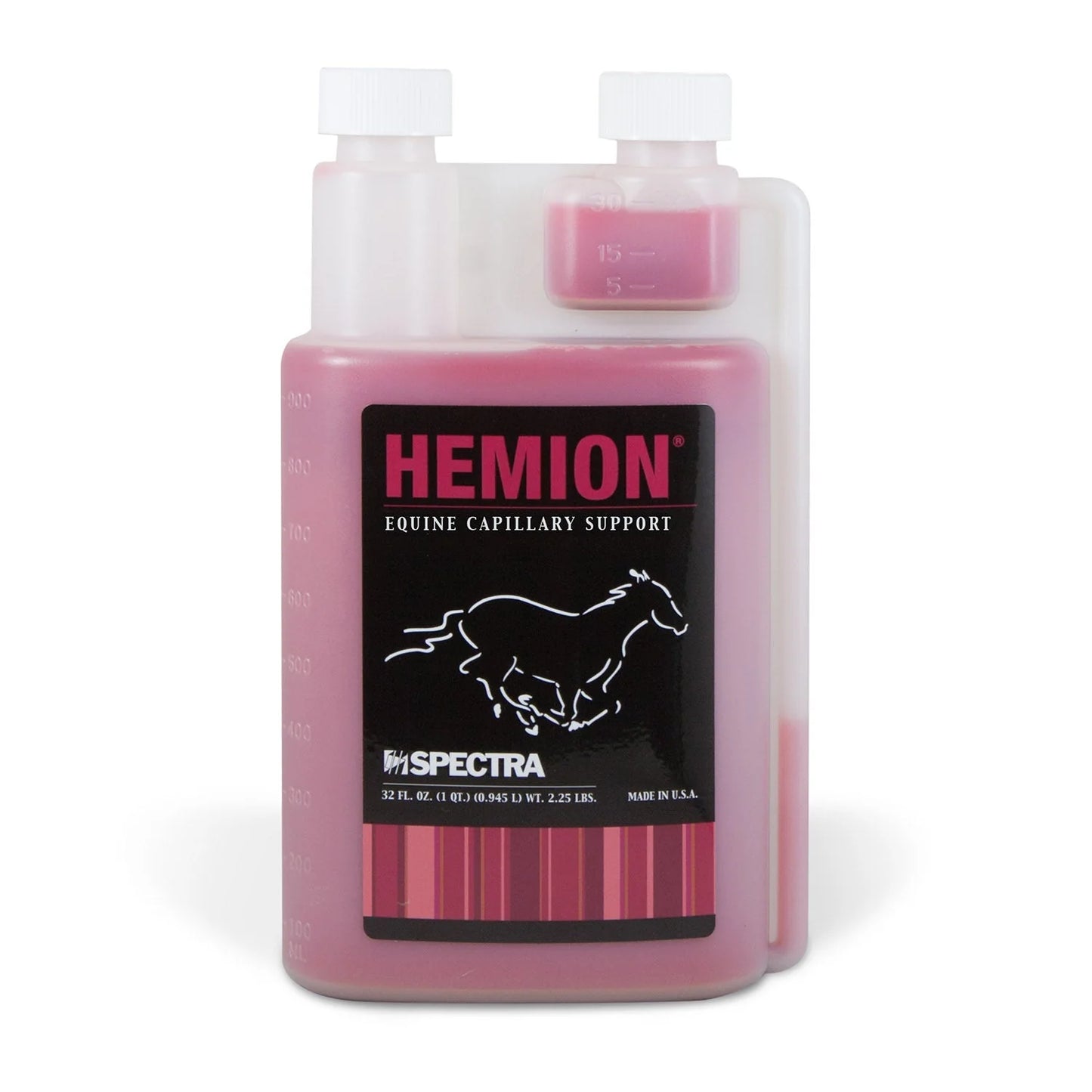 HEMION image 0