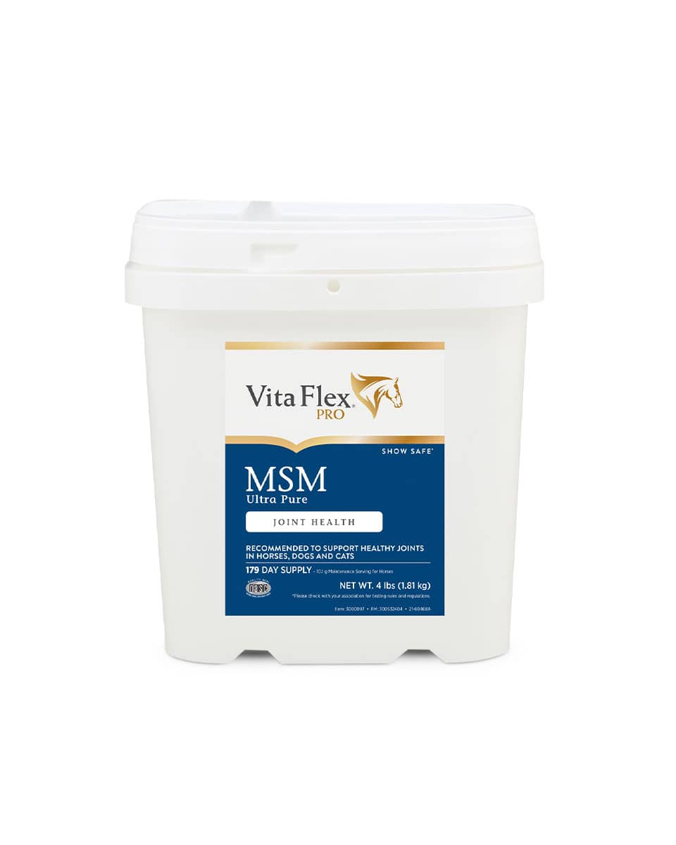 VITA FLEX MSM