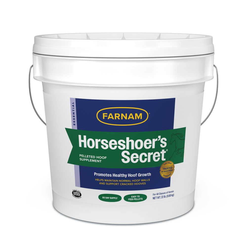 HORSESHOER'S SECRET