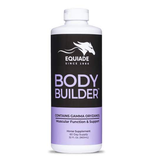 BODY BUILDER