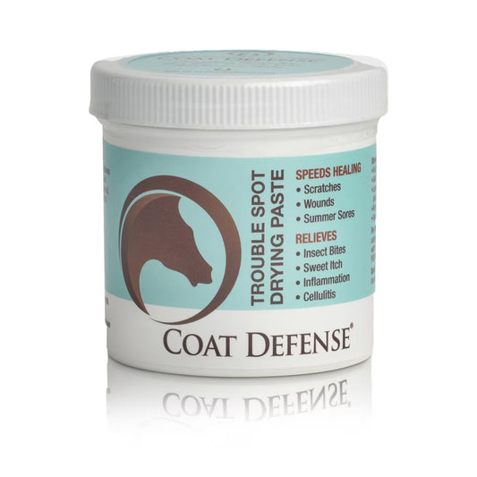 COAT DEFENSE PASTE image 0