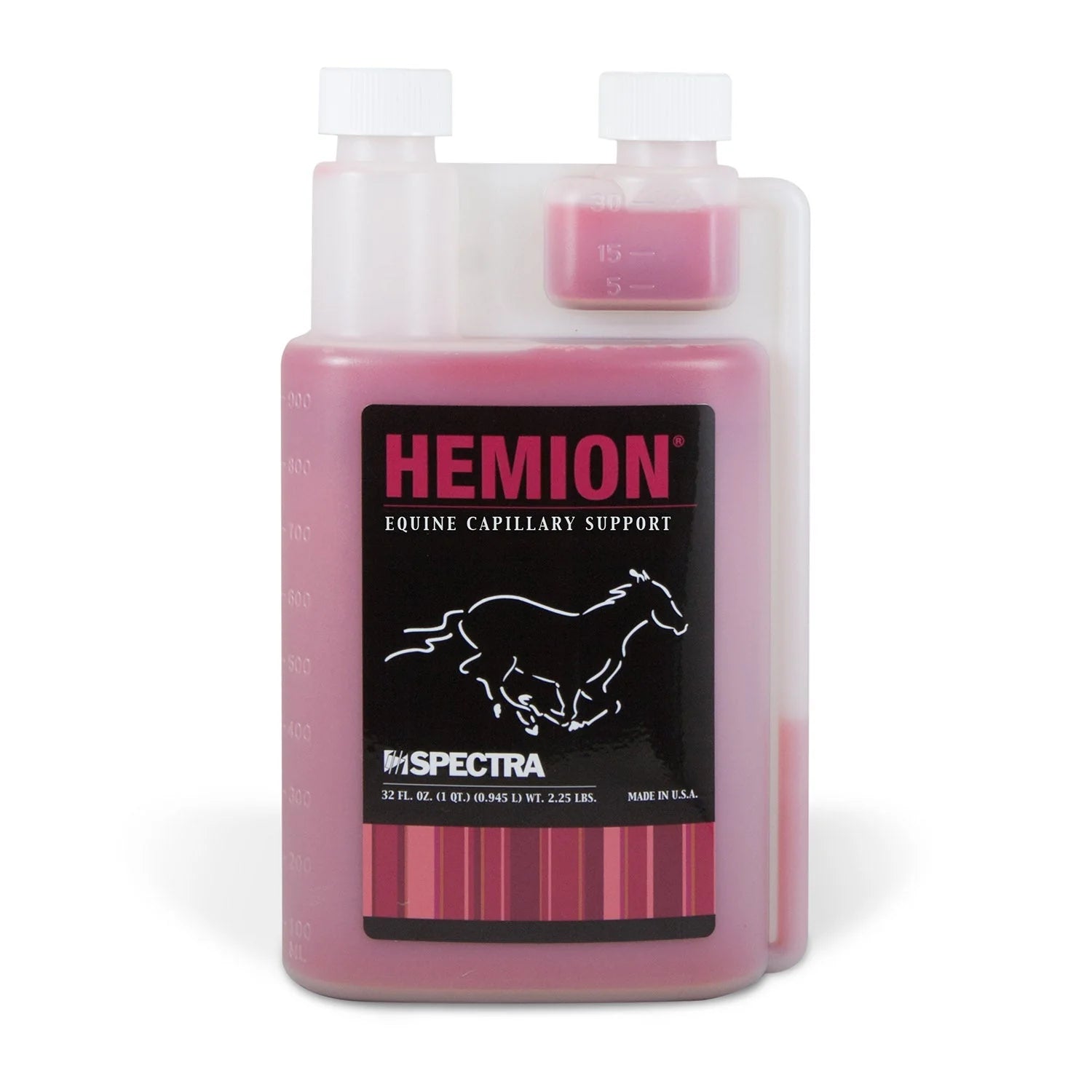 HEMION image 0