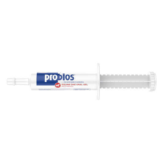 PROBIOS EQUINE ONE ORAL GEL