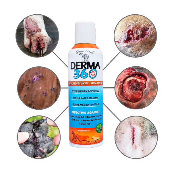 GROOM'S HAND DERMA 360