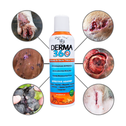 GROOM'S HAND DERMA 360