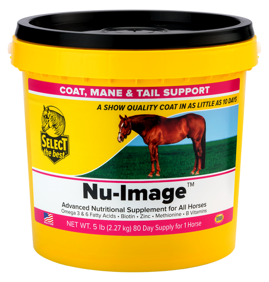 NU-IMAGE