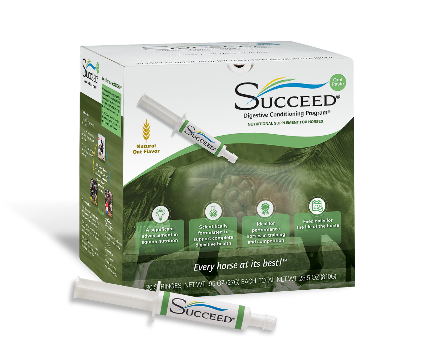 SUCCEED PASTE