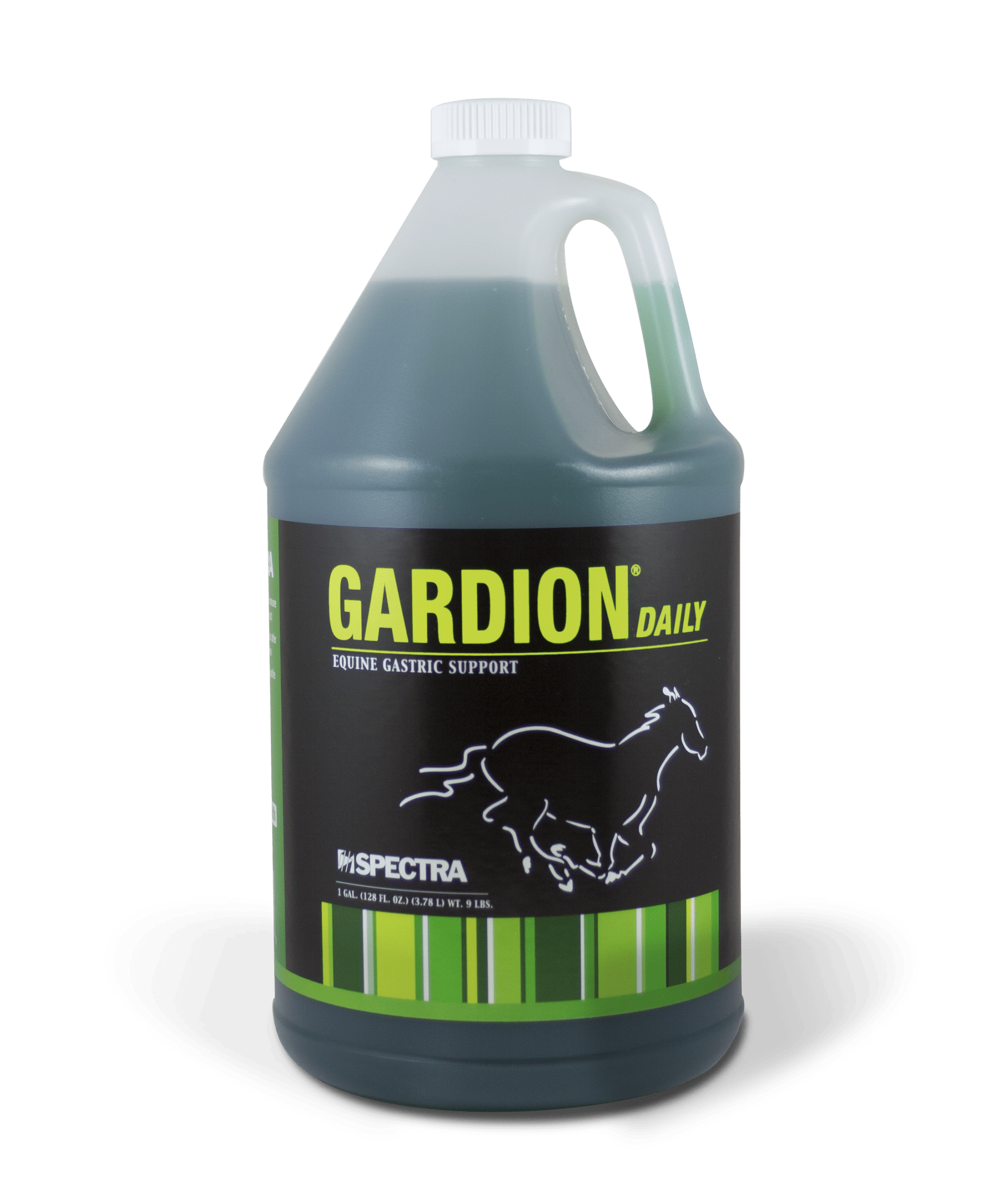 GARDION DAILY GAL image 0