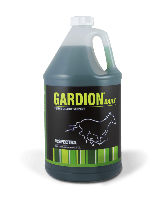 GARDION DAILY GAL image 0
