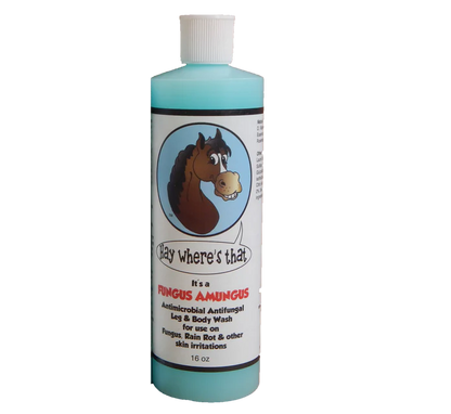 HAY WHERE'S THAT FUNGUS AMUNGUS - 16 OZ image