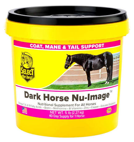 NU IMAGE DARK HORSE