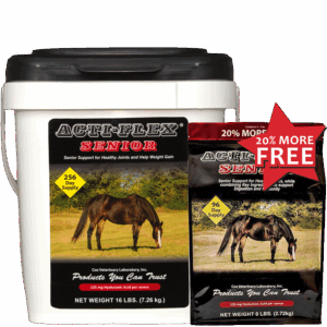 ACTIFLEX SENIOR