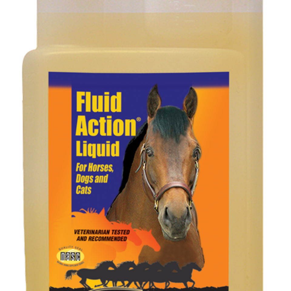 T.T. Distributors Fluid Action