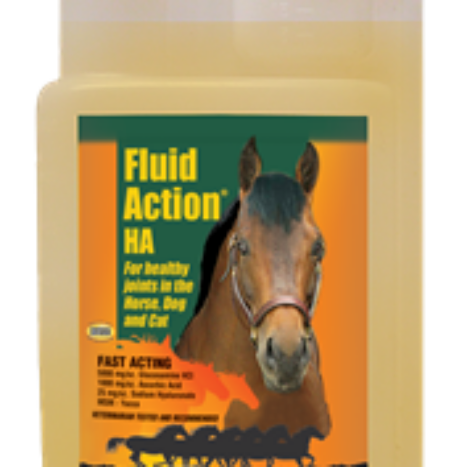 T.T. Distributors Fluid Action H.A.