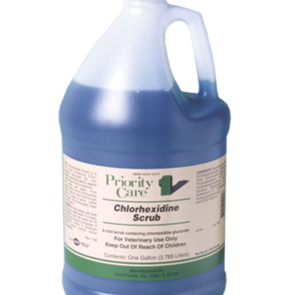 T.T. Distributors Chlorhexidine Scrub Gallon