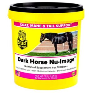 NU IMAGE DARK HORSE