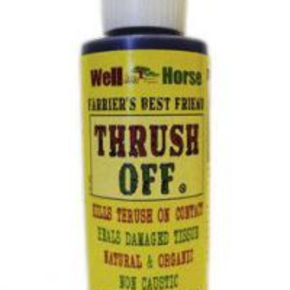 T.T. Distributors Thrush Off for Horses