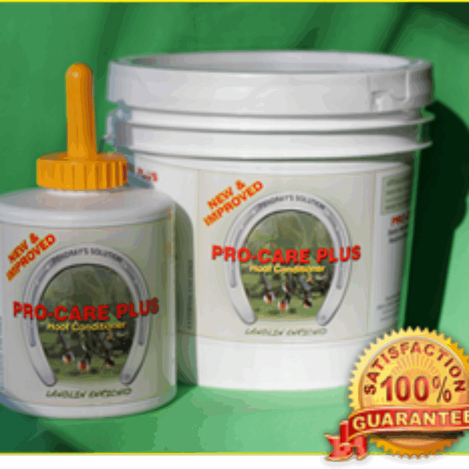 T.T. Distributors Pro Care Plus for Horses