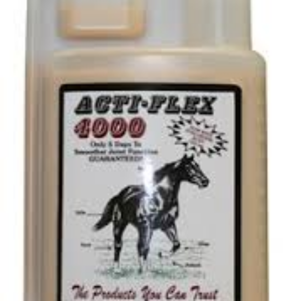 T.T. Distributors Actiflex 4000