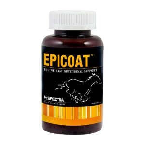 EPICOAT 6.5OZ